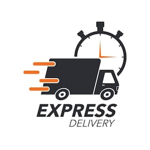 May include: A graphic logo featuring a black delivery truck silhouette with orange motion lines, positioned in front of a black clock icon. The text EXPRESS DELIVERY is printed in bold black capital letters below the truck illustration.