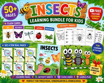 Libro para colorear y paquete de actividades sobre insectos para niños / Tarjetas didácticas en PDF / Hojas de trabajo de aprendizaje preescolar