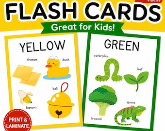 Farben Karteikarten für Kleinkinder & Vorschulkinder | Lernaktivitäten (Digitaler Download)