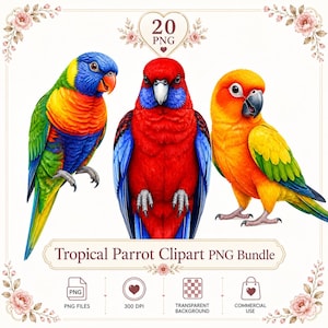 Könnte beinhalten: Eine digitale Sammlung von 20 PNG-Dateien mit drei bunten Papageien. Der linke Papagei ist blau, grün und gelb. Der mittlere Papagei ist rot und blau. Der rechte Papagei ist orange, gelb und grün. Der Text lautet Tropical Parrot Clipart PNG Bundle.