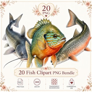 Puede incluir: Una colección digital de 20 ilustraciones de peces que incluye un bagre gris oscuro, un pez sol verde y naranja vibrante, y una trucha moteada. El gráfico incluye el texto 20 PNG, 20 Fish Clipart PNG Bundle, 300 DPI e iconos de archivos.