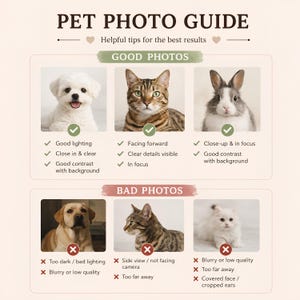 K&ouml;nnte beinhalten: Ein Haustier-Fotoleitfaden mit dem Titel PET PHOTO GUIDE mit hilfreichen Tipps f&uuml;r beste Ergebnisse. Er zeigt drei gute Fotos eines wei&szlig;en Hundes, einer getigerten Katze und eines Kaninchens sowie drei schlechte Fotos mit H&auml;kchen und Kreuzen.