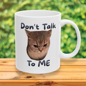 Grumpy Cat Mug, Don't Talk To Me, Sarcastic Coffee Cup, Cat Lover Gift