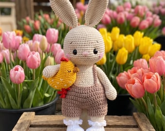 Crochet Bunny Plüsch, Amigurumi Kaninchen mit Küken, personalisierte Baby Geschenk