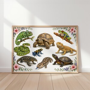 May include: A framed print showcasing detailed illustrations of reptiles and amphibians, such as a chameleon, snake, turtle, frog, and lizard. The artwork is framed with a floral border, creating a decorative and educational piece.