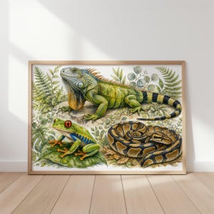 以下が含まれることがあります： 緑色のイグアナ、アカメアマガエル、ヘビを描いた、額入りの水彩画プリント。イグアナは岩の上に、カエルは葉の上に、ヘビは丸まっています。フレームは明るい色の木材で作られています。