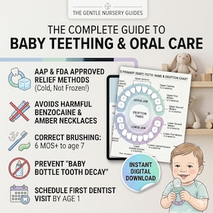 Puede incluir: Una guía sobre la dentición y el cuidado bucal del bebé. La imagen incluye una tabla de tiempos de erupción de los dientes del bebé, consejos sobre métodos de alivio e instrucciones de cepillado. Un bebé sostiene un mordedor. El texto dice "Descarga digital instantánea."