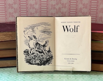 Vintage Book - Wolf by Albert Payson Terhune, First Edition, Classic American Literature
