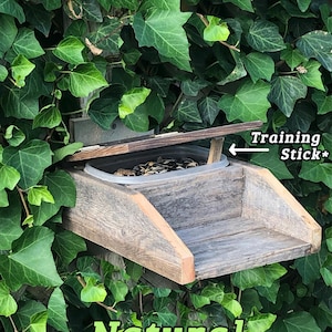 May include: A rustic wooden bird feeder with a hinged lid, set against a backdrop of lush green ivy. The feeder has a tray for food and the word "Natural" is displayed at the bottom. The text "Training Stick*" is also visible.