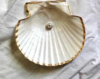 Pearl White Gem Shell: Coastal Jewelry & Trinket Dish