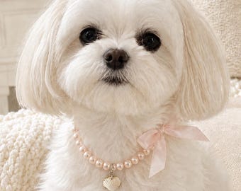 Pet faux pearl necklace with gilded shell
