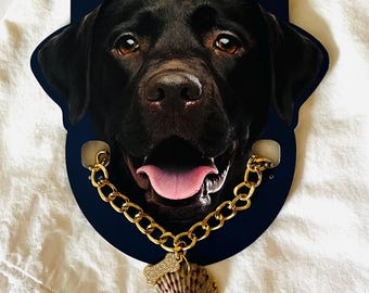 Pet necklace with natural seashell and rhinestone bone charm