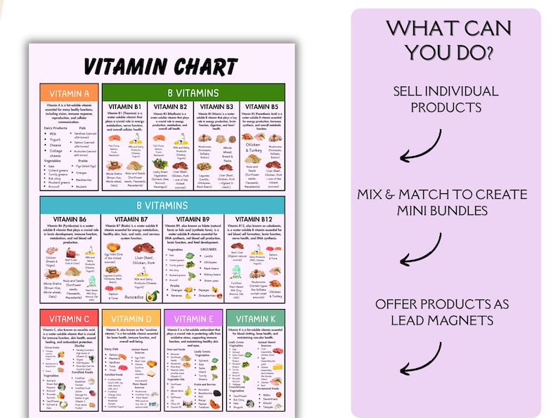 May include: A rectangular Vitamin Chart poster with a white background and black text, organized into color-coded sections for vitamins A, B, C, D, E, and K. To the right, a light purple panel displays the text: WHAT CAN YOU DO? SELL INDIVIDUAL PRODUCTS, MIX & MATCH TO CREATE MINI BUNDLES, OFFER PRODUCTS AS LEAD MAGNETS, with black arrows pointing left.