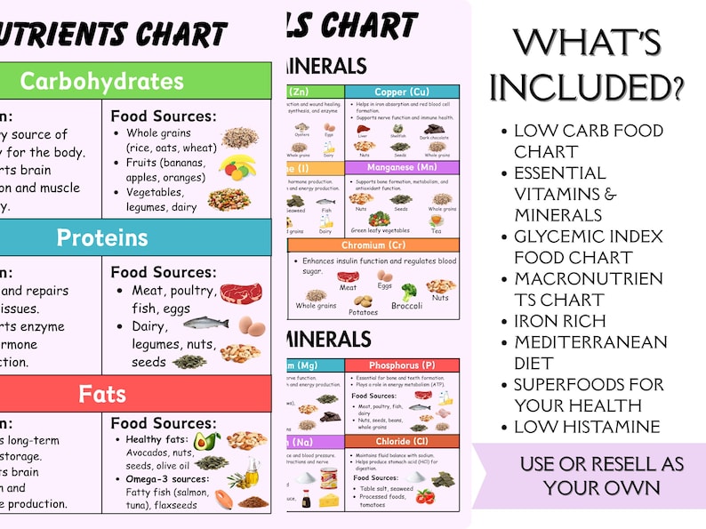 May include: A digital nutrition chart featuring sections for carbohydrates, proteins, and fats with food sources, alongside a minerals chart and a list titled What's Included? detailing charts for low carb, vitamins, glycemic index, and macronutrients.
