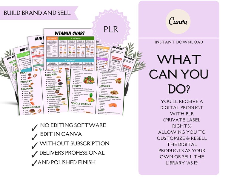 May include: A digital product bundle featuring multiple nutrition and vitamin charts with colorful icons and text. The design includes a light purple sidebar with the text 'WHAT CAN YOU DO?' and 'INSTANT DOWNLOAD', alongside a list of benefits regarding Canva editing and private label rights for resale.