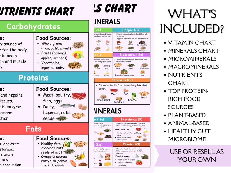 May include: A multi-page educational nutrients chart featuring sections for carbohydrates, proteins, and fats with food sources. The document includes a minerals chart, microminerals, macrominerals, and a list titled What's Included with text.
