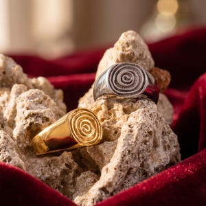May include: Two signet rings, one in a polished gold tone and one in a polished silver tone, each featuring a raised spiral design on the circular face. The rings are positioned on a textured, porous, light-colored rock formation.