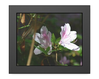 Pink Azalea Flowers framed poster | Floral wall art