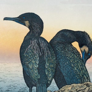 BIRDS of a FEATHER Fine Art Linocut Relief Print, Original Art, 2-block, Multi-color 13 x 11, Cormorant, California Coast image 1