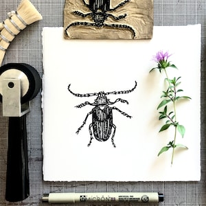 May include: A black and white illustration of a beetle with long antennae. The beetle is printed on a white piece of paper. A purple flower and a green plant are in the background.
