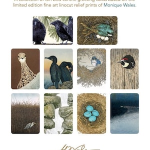 Lot de 10 cartes de vœux A7 5 x 7 po. Boîte et enveloppes 40 % recyclées après consommation, vierges à l'intérieur, artiste Monique Wales