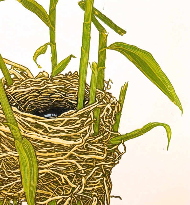 May include: A close-up of a bird's nest made of woven twigs, with green stalks of grass surrounding it. The nest is empty, but there is a small, dark object in the center.