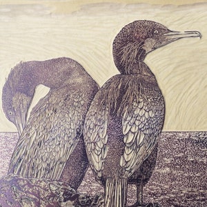 BIRDS of a FEATHER Fine Art Linocut Relief Print, Original Art, 2-block, Multi-color 13 x 11, Cormorant, California Coast image 6