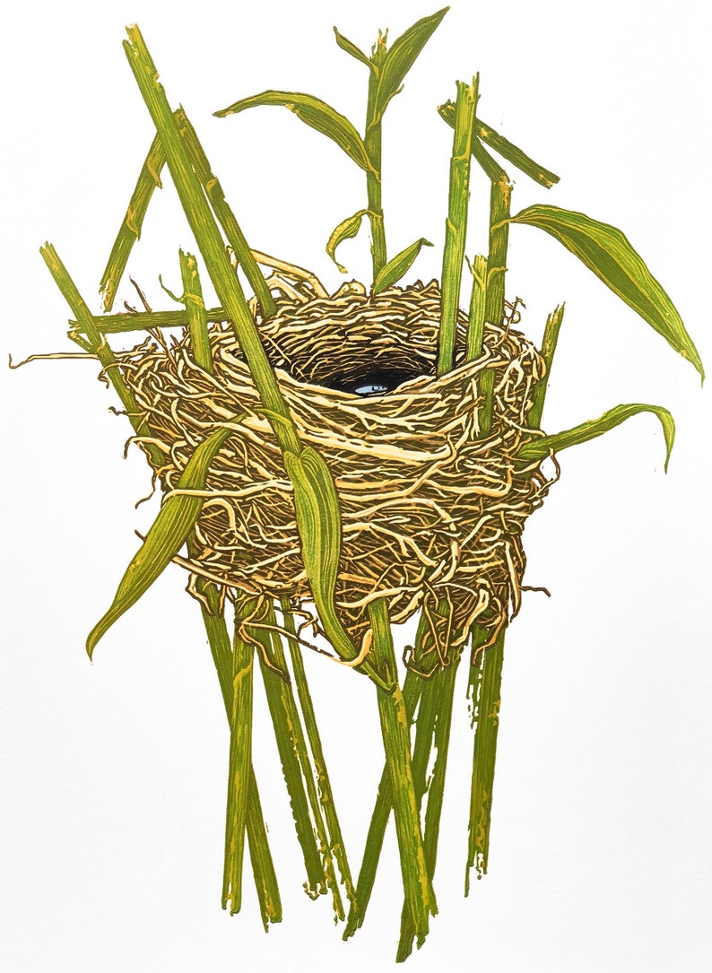 May include: A bird's nest made of twigs and woven into a circular shape. The nest is supported by several green stalks of grass.