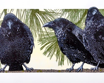 An UNKINDNESS of RAVENS -  Fine Art Linocut Relief Print, Original Art, 2-block, Multi-color 9" x 16" Group of Three Corvids on a Pine Bough