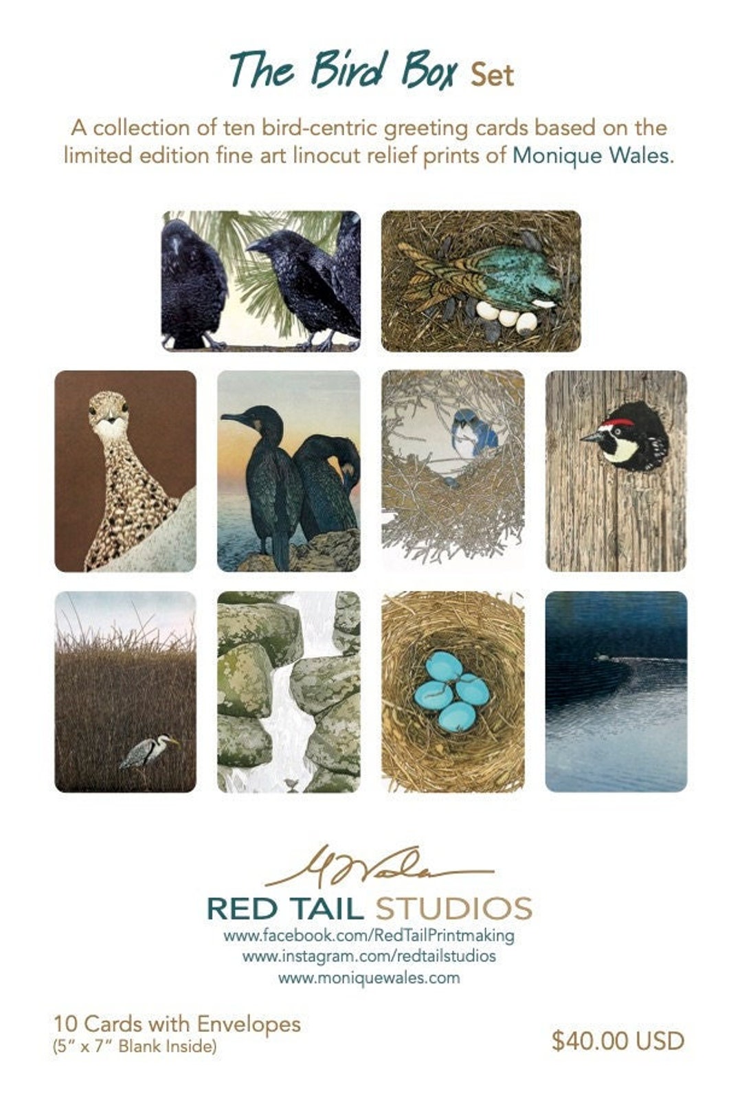 The Bird Box Greeting Card Set (10) A7 5