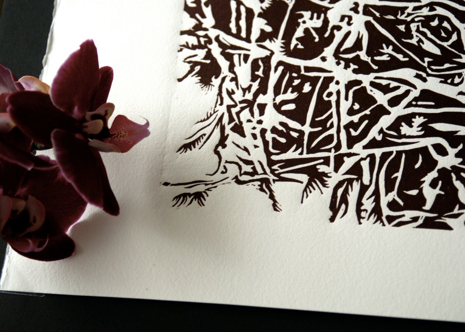 Linocut Relief Print Original Art 16x20 CASSIN'S NEST Etsy