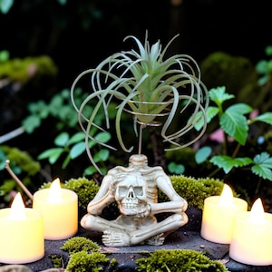 Support pour plante aérien squelette, support pour plante tête de mort, décoration d'intérieur gothique, décoration de bureau d'Halloween, support pour succulentes en résine, déco esthétique sombre