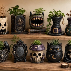 May include: A collection of ten decorative planters and frames on wooden shelves. Items include a skull candle holder, a book-shaped planter, a monster head, a witch hat, a potion bottle, a skull-adorned pot, a frame, a mushroom skull, a cat, and a hooded skull.