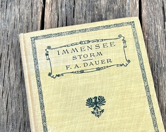 1896 Immensee Storm Book By F. A. Dauer - Antique 1800's German Short Stories