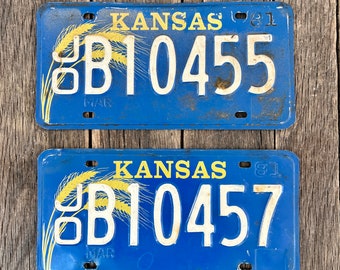 2 1981 Kansas License Plates - Vintage Blue And White Kansas License Plates