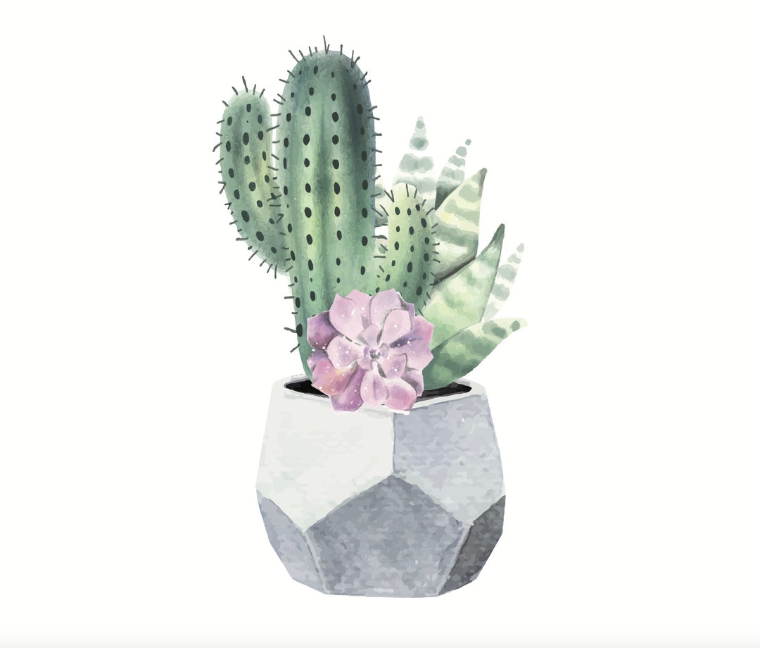 3 Printable Succulent Watercolor Prints Downloadable - Etsy