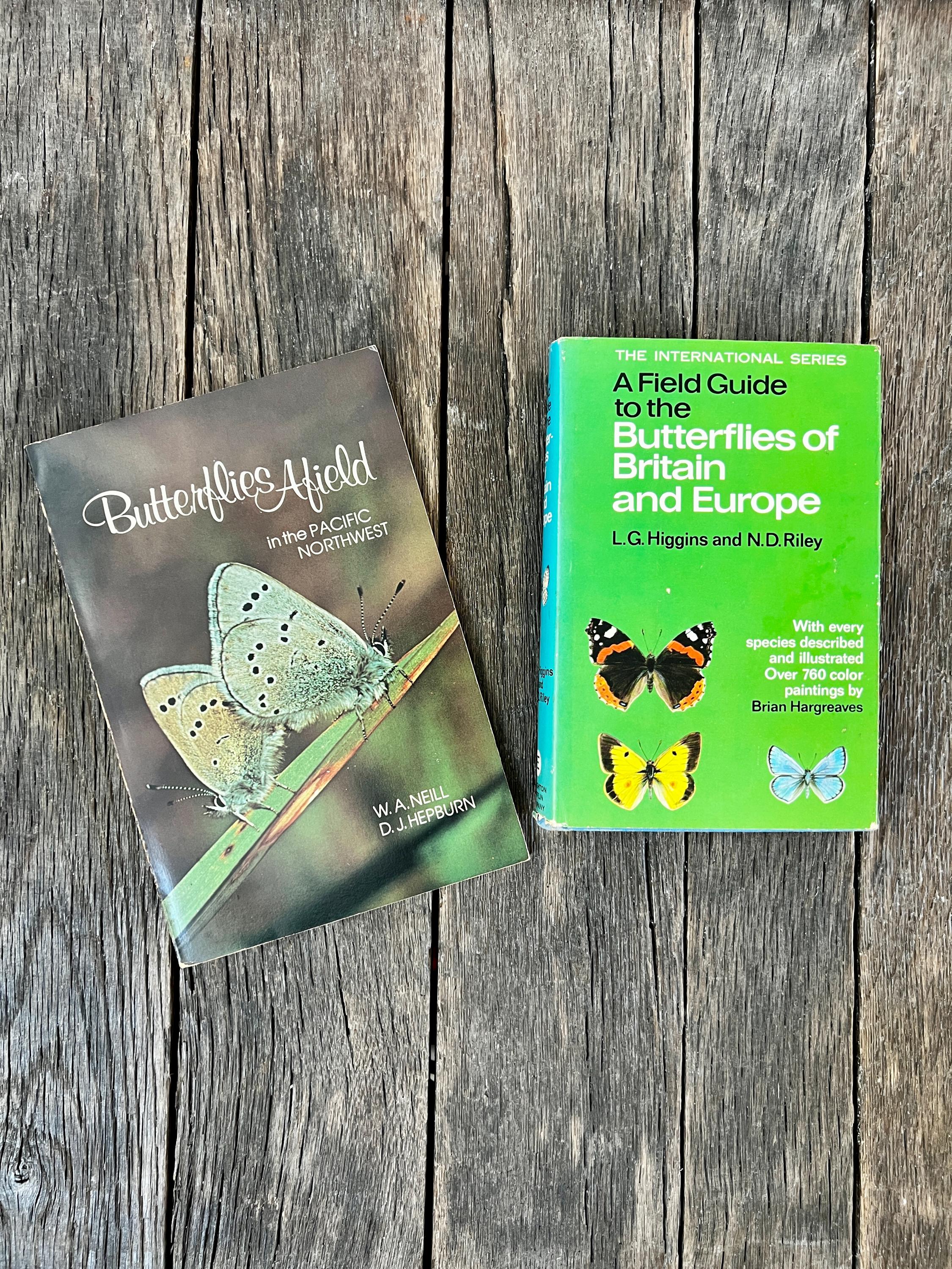 Vintage Illustrated Butterfly Book - Etsy
