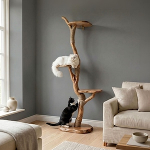May include: A wooden cat tree with multiple platforms and a natural, tree-like design. A white cat rests on a platform, while a black and white cat sharpens its claws on the trunk. The tree is in a living room setting.