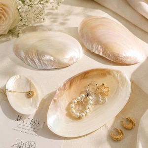 May include: Four iridescent mother-of-pearl shells used as jewelry dishes. One small shell holds a gold chain necklace with a blue stone. A larger shell contains a pearl bracelet, a gold ring, and a gold flower charm. Two gold hoop earrings sit nearby.