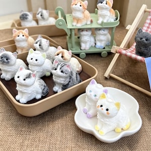 May include: A collection of small, textured cat figurines in various colors and patterns, including orange, gray, white, and calico. The figures are displayed in beige trays, on a green tiered cart, in a white flower-shaped dish, and on a wooden chair.