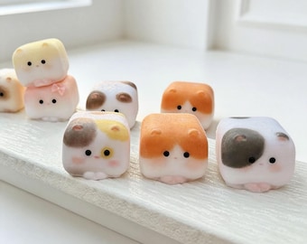 Brinquedo de silicone macio em formato de gato Mochi quadrado, com retorno lento, bola antiestresse kawaii de gatinho.