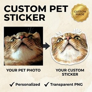 Puede incluir: Un servicio de pegatinas personalizadas para mascotas con el texto CUSTOM PET STICKER y un sello dorado CUSTOM MADE. Muestra una foto de un gato atigrado marrón junto a una versión en pegatina troquelada del mismo rostro, con las etiquetas YOUR PET PHOTO y YOUR CUSTOM STICKER.