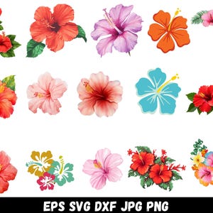 May include: A collection of fifteen hibiscus flower illustrations in various colors including red, orange, pink, and light blue, featuring green leaves and floral arrangements. The text EPS SVG DXF JPG PNG is displayed at the bottom.