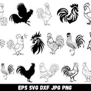 May include: A collection of seventeen black and white rooster illustrations featuring various poses, including silhouettes, detailed line drawings, and head portraits. The text EPS SVG DXF JPG PNG is displayed at the bottom of the image.
