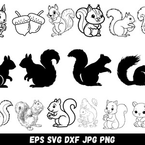 May include: A collection of squirrel illustrations and silhouettes in black and white. The set includes various squirrel poses, some holding acorns, and one image of two acorns. The text EPS SVG DXF JPG PNG is displayed at the bottom of the image.