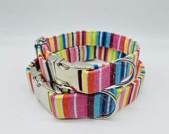 Adjustable Dog Collar, brightly colored boy + girl dog collar Ethno