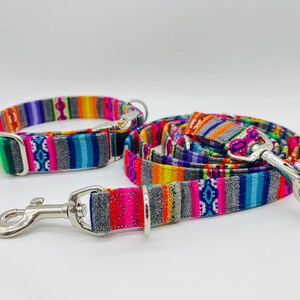 May include: A colorful dog collar and leash set with a grey background and multi-colored stripes. The set features silver hardware.