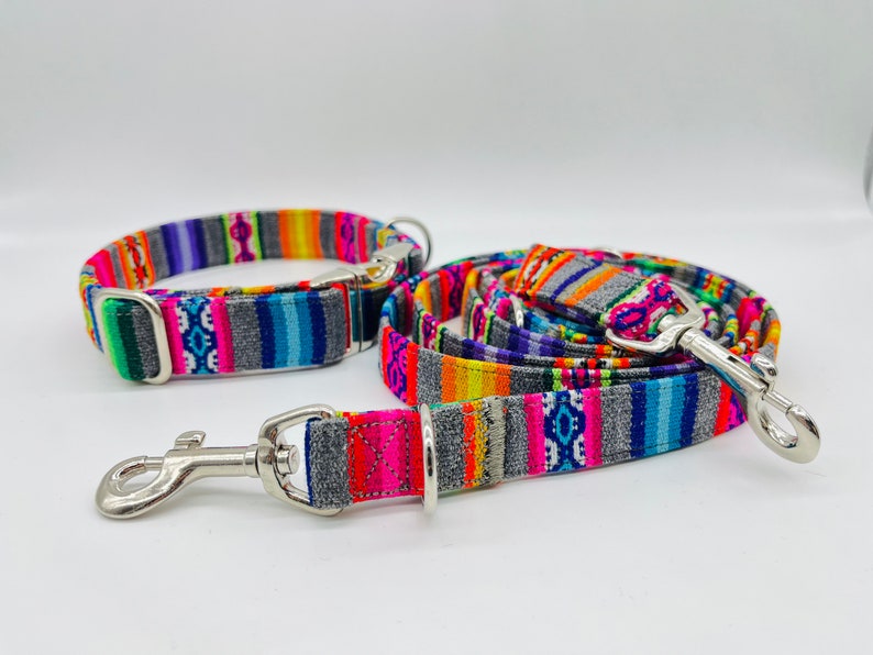 May include: A colorful dog collar and leash set with a grey background and multi-colored stripes. The set features silver hardware.