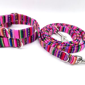 Puede incluir: Un juego de collar y correa para perro de color rosa y estampado multicolor. El collar tiene una hebilla negra y anillas en D plateadas. La correa tiene un clip plateado.