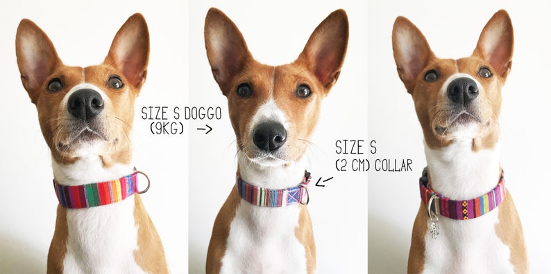 Glitzer-Strass-Hundehalsband Aus Velours – Verstellbar & Reflektierend (S, M, L)